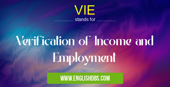 VIE means Verification of Income and Employment VIE