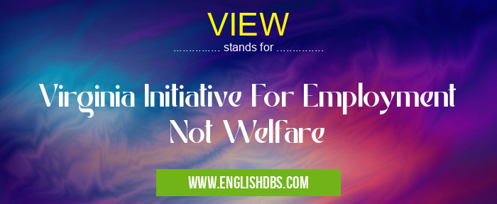 VIEW means Virginia Initiative For Employment Not Welfare VIEW