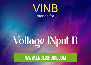 VINB means Voltage INput B VINB