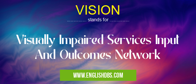 VISION means Visually Impaired Services Input And Outcomes Network VISION