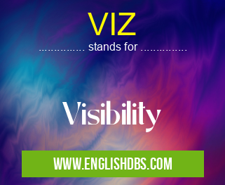 VIZ means Visibility VIZ
