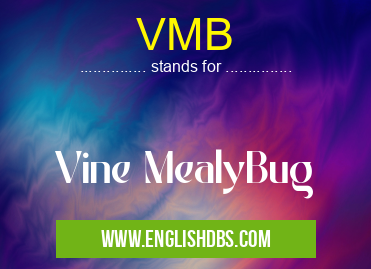VMB means Vine MealyBug VMB