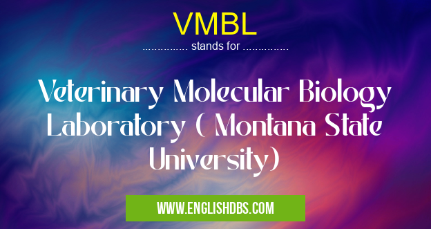 VMBL means Veterinary Molecular Biology Laboratory ( Montana State University) VMBL