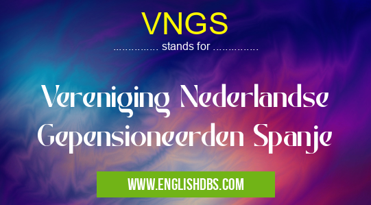 VNGS means Vereniging Nederlandse Gepensioneerden Spanje VNGS