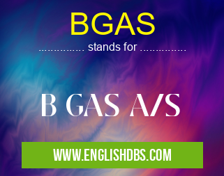 BGAS means B GAS A/S BGAS