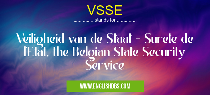 VSSE means Veiligheid van de Staat - Surete de l'Etat, the Belgian State Security Service VSSE
