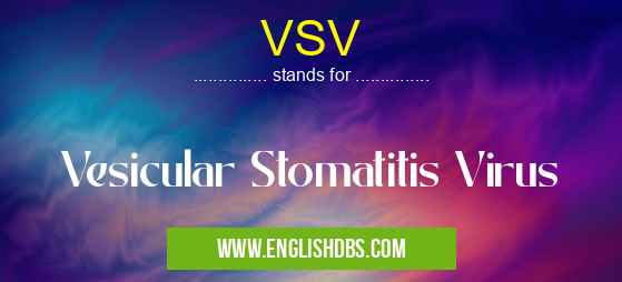 VSV means Vesicular Stomatitis Virus VSV