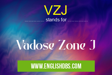 VZJ means Vadose Zone J VZJ