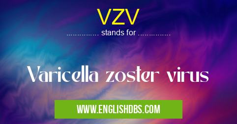 VZV means Varicella zoster virus VZV