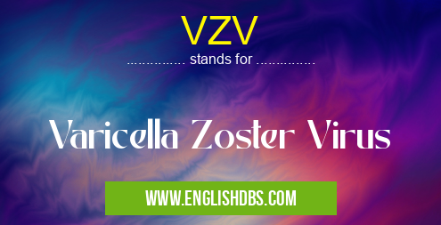 VZV means Varicella Zoster Virus VZV