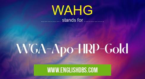 WAHG means WGA-Apo-HRP-Gold WAHG