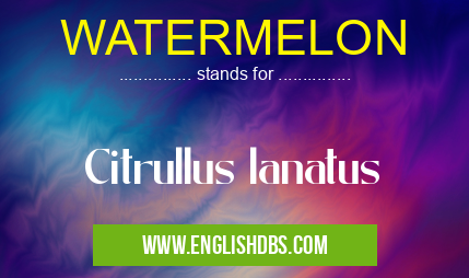 WATERMELON means Citrullus lanatus WATERMELON