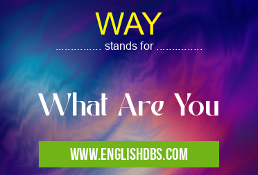 WAY means What Are You WAY