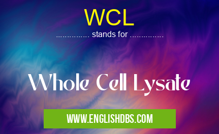 WCL means Whole Cell Lysate WCL