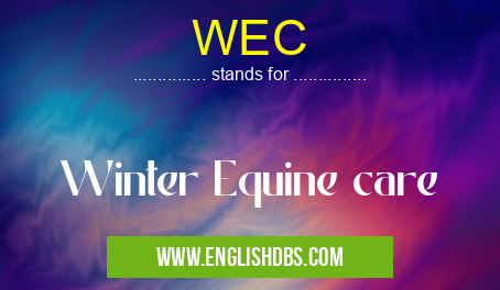 WEC means Winter Equine care WEC