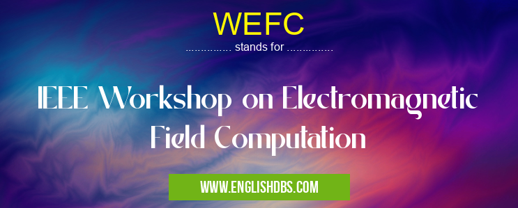 WEFC means IEEE Workshop on Electromagnetic Field Computation WEFC