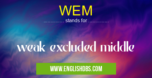 WEM means weak excluded middle WEM