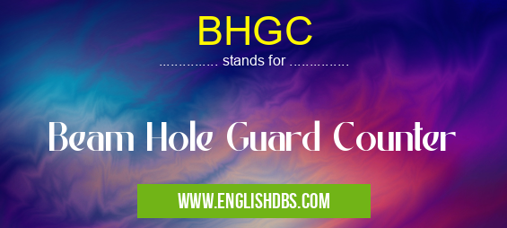 BHGC means Beam Hole Guard Counter BHGC