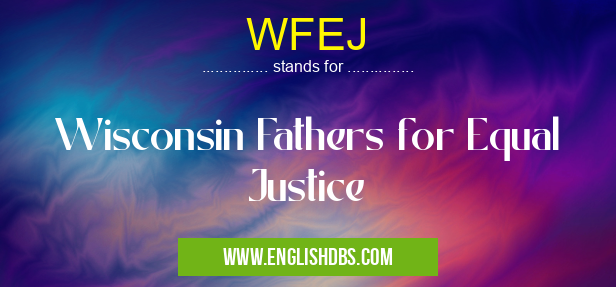 WFEJ means Wisconsin Fathers for Equal Justice WFEJ