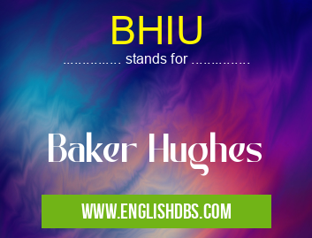 BHIU means Baker Hughes BHIU