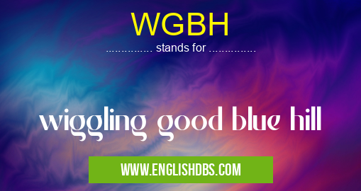 WGBH means wiggling good blue hill WGBH