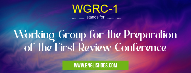 WGRC-1 means Working Group for the Preparation of the First Review Conference WGRC-1