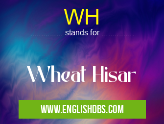 WH means Wheat Hisar WH