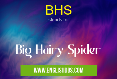 BHS means Big Hairy Spider BHS