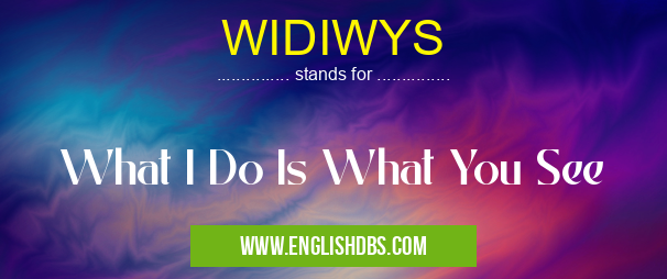WIDIWYS means What I Do Is What You See WIDIWYS
