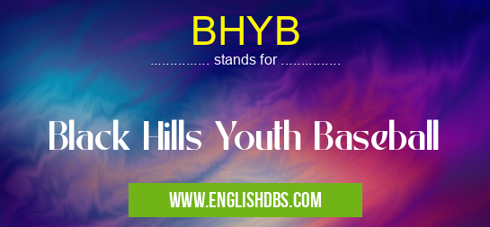 BHYB means Black Hills Youth Baseball BHYB