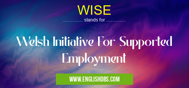 WISE means Welsh Initiative For Supported Employment WISE