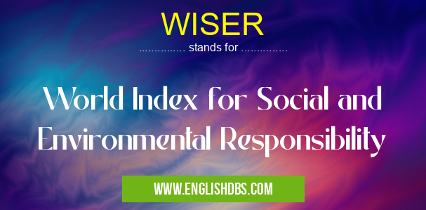 WISER means World Index for Social and Environmental Responsibility WISER