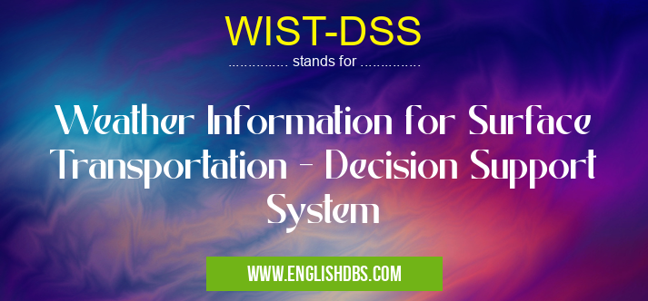 WIST-DSS means Weather Information for Surface Transportation - Decision Support System WIST-DSS