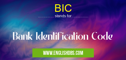BIC means Bank Identification Code BIC