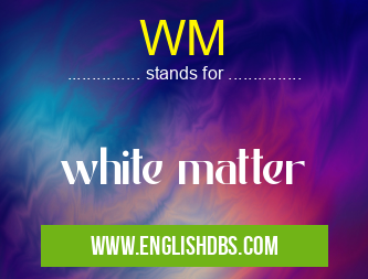 WM means white matter WM