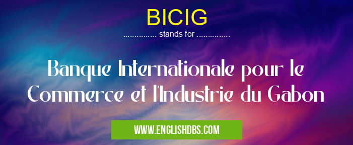 BICIG means Banque Internationale pour le Commerce et l'Industrie du Gabon BICIG