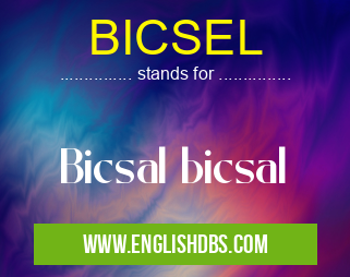BICSEL means Bicsal bicsal BICSEL