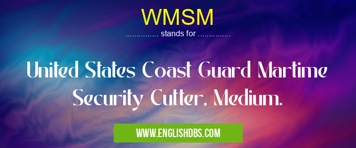 WMSM means United States Coast Guard Martime Security Cutter, Medium. WMSM