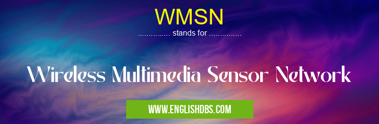 WMSN means Wireless Multimedia Sensor Network WMSN