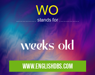 WO means weeks old WO