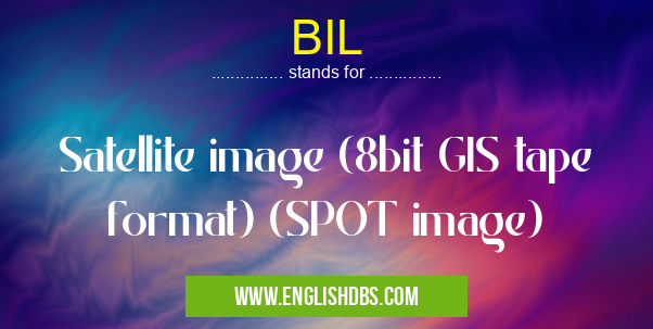 BIL means Satellite image (8bit GIS tape format) (SPOT image) BIL