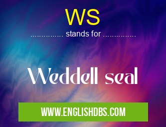 WS means Weddell seal WS