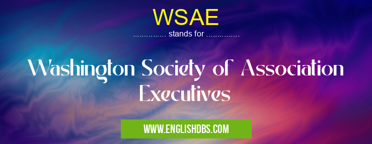 WSAE means Washington Society of Association Executives WSAE