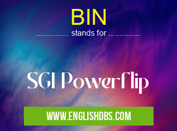 BIN means SGI Powerflip BIN