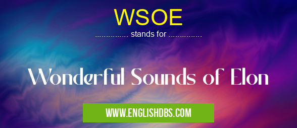 WSOE means Wonderful Sounds of Elon WSOE