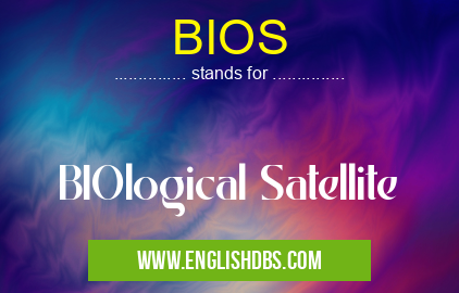 BIOS means BIOlogical Satellite BIOS