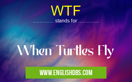 WTF means When Turtles Fly WTF