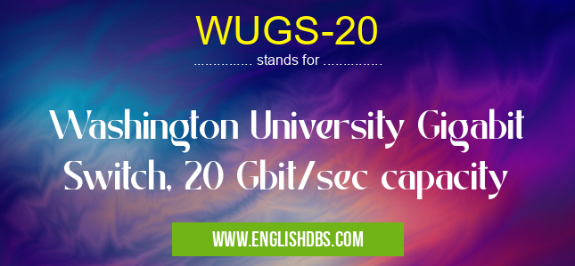 WUGS-20 means Washington University Gigabit Switch, 20 Gbit/sec capacity WUGS-20