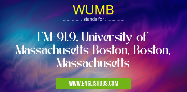 WUMB means FM-91.9, University of Massachusetts Boston, Boston, Massachusetts WUMB