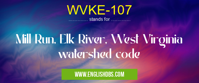 WVKE-107 means Mill Run, Elk River, West Virginia watershed code WVKE-107